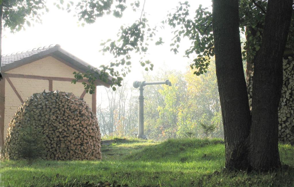 Apartamenty Carskie Białowieża المظهر الخارجي الصورة