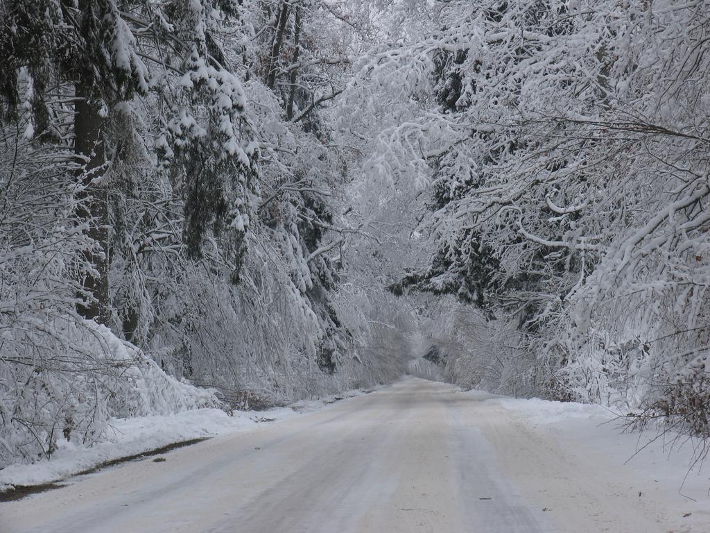 Apartamenty Carskie Białowieża المظهر الخارجي الصورة