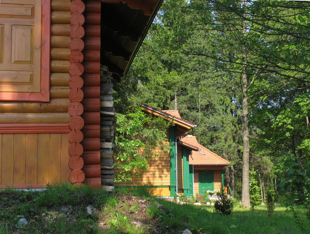 Apartamenty Carskie Białowieża المظهر الخارجي الصورة